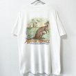 画像1: 90s USA製 BANANA REPUBLIC SAFALI&TRAVEL TEE SHIRT (1)