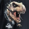 画像2: 00s JURASSIC PARK MOVIE TEE SHIRT (2)