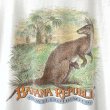 画像5: 90s USA製 BANANA REPUBLIC SAFALI&TRAVEL TEE SHIRT (5)