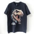 画像1: 00s JURASSIC PARK MOVIE TEE SHIRT (1)