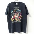 画像1: 90s USA製 THE SMATHING PUMPKINS MELLON COLLIE and the INFINITE SADNESS TEE SHIRT (1)