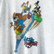 画像3: 90s USA製 SPLASH MOUNTAIN TEE SHIRT (3)