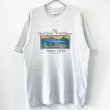 画像1: 90s USA製 L.L.BEAN LOGO TEE SHIRT (1)