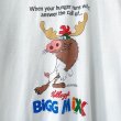 画像2: 90s USA製 KELLOGG'S TEE SHIRT (2)