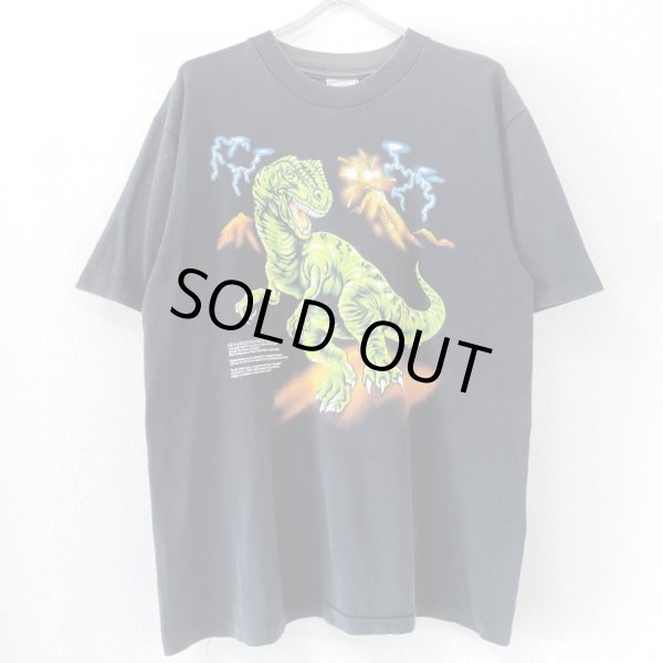 画像1: 90s USA製 DINOSAUR THUNDER TEE SHIRT (1)