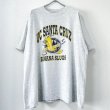 画像1: 90s USA製 UC SANTA CRUZ BANANA SLUGS TEE SHIRT (1)