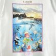 画像2: 90s USA製 THE LITTLE MARMAID LASSEN ART TEE SHIRT (2)