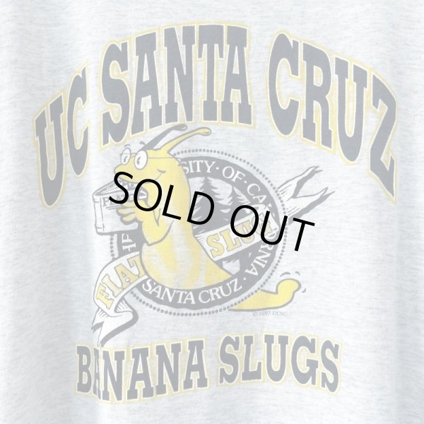 画像2: 90s USA製 UC SANTA CRUZ BANANA SLUGS TEE SHIRT (2)