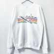 画像1: 90s USA製　WASHINGTON ART SWEAT (1)