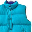 画像2: 90s THE NORTH FACE DOWN VEST (2)