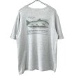 画像1: 90s USA製 L.L.BEAN FISH TEE SHIRT (1)