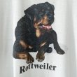 画像2: 90s USA製 ROTTWEILER DOG TEE SHIRT (2)