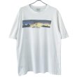 画像1: 90s USA製 L.L.BEAN TEE SHIRT (1)