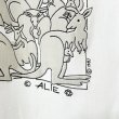 画像3: 80s~90s オーストラリア製 KANGAROO ART TEE SHIRT (3)