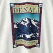 画像4: 90s USA製 THE NORTH FACE DENALI TEE SHIRT (4)