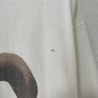 画像9: 80s 90s Wallace&Gromit TEE SHIRT (9)