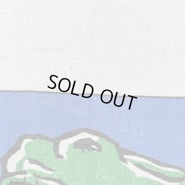 画像10: 90s DINOSAUR ART TEE SHIRT (10)