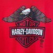 画像3: 80s カナダ製 HARLEY DAVIDSON EAGLE TEE SHIRT (3)