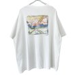 画像1: 90s USA製 PATAGONIA ART TEE SHIRT (1)