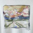 画像4: 90s USA製 PATAGONIA ART TEE SHIRT (4)