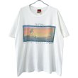 画像1: 90s USA製 LION KING PHOTO TEE SHIRT (1)