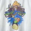 画像2: 90s USA製 SPLASH MOUNTAIN TEE SHIRT (2)