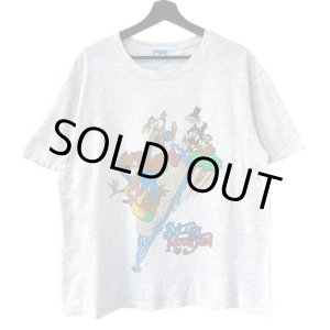 画像: 90s USA製 SPLASH MOUNTAIN TEE SHIRT