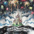 画像3: 90s USA製 DISNEY WORLD FIRE WORKS AOP TEE SHIRT (3)