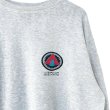 画像3: 90s USA製　AIR WALK LOGO SWEATSHIRT (3)