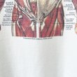 画像3: 00s ANATOMICAL CHART ART TEE SHIRT (3)