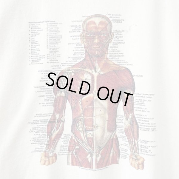 画像2: 00s ANATOMICAL CHART ART TEE SHIRT (2)