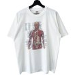 画像1: 00s ANATOMICAL CHART ART TEE SHIRT (1)