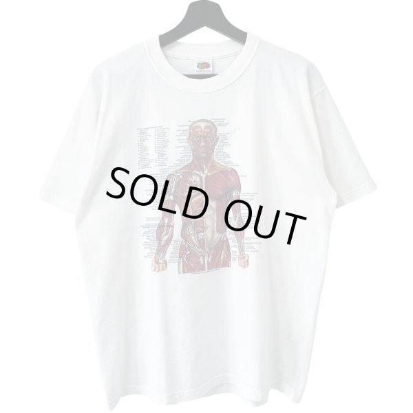 画像1: 00s ANATOMICAL CHART ART TEE SHIRT (1)