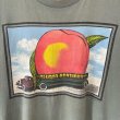 画像3: 90s USA製 THE ALLMAN BROTHERS BAND EAT A PEACH BAND TEE SHIRT (3)