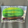 画像4: 90s USA製 THE ALLMAN BROTHERS BAND EAT A PEACH BAND TEE SHIRT (4)