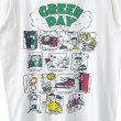 画像2: 2015s GREEN DAY DOOKIE TEE SHIRT (2)