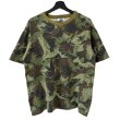 画像1: 90s~00s JURASSIC PARK MOVIE CAMOFLAGE TEE SHIRT (1)