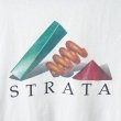 画像3: 90s USA製 STRATA 企業 TEE SHIRT (3)