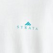 画像4: 90s USA製 STRATA 企業 TEE SHIRT (4)