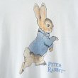 画像2: 90s USA製 PETER RABBIT TEE SHIRT (2)