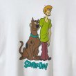 画像2: ~00s SCOOBY DOO! TEE SHIRT (2)