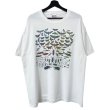 画像1: 90s USA製 LIBERTY GRAPHICS INSECT ART TEE SHIRT (1)