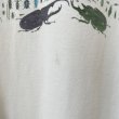 画像5: 90s USA製 LIBERTY GRAPHICS INSECT ART TEE SHIRT (5)