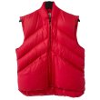 画像1: 70s EMS DOWN VEST (1)