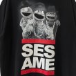 画像2: 00s SESAME STREET RUN DMC PARODY TEE SHIRT (2)