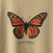 画像2: 90s USA製 BUTTERFLY TEE SHIRT (2)