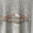 画像4: 90s USA製 HARLEY DAVIDSON FLAME EAGLE L/S TEE SHIRT (4)