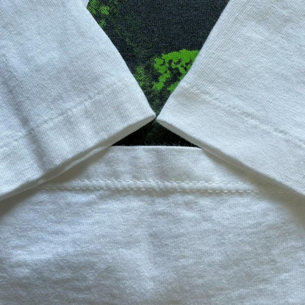 画像4: 90s USA製 GREEN DAY TEE SHIRT (4)