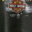 画像3: 80s USA製 HARLEY DAVIDSON 3D EMBLEM TEE SHIRT (3)