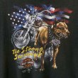 画像2: 80s USA製 HARLEY DAVIDSON 3D EMBLEM TEE SHIRT (2)